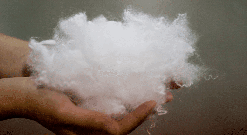 how-to-choose-between-down-and-down-alternative